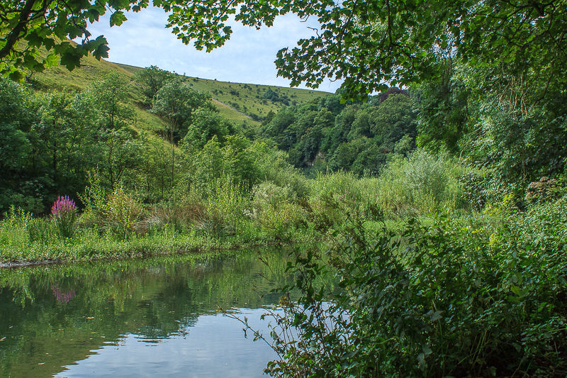 Miller's Dale